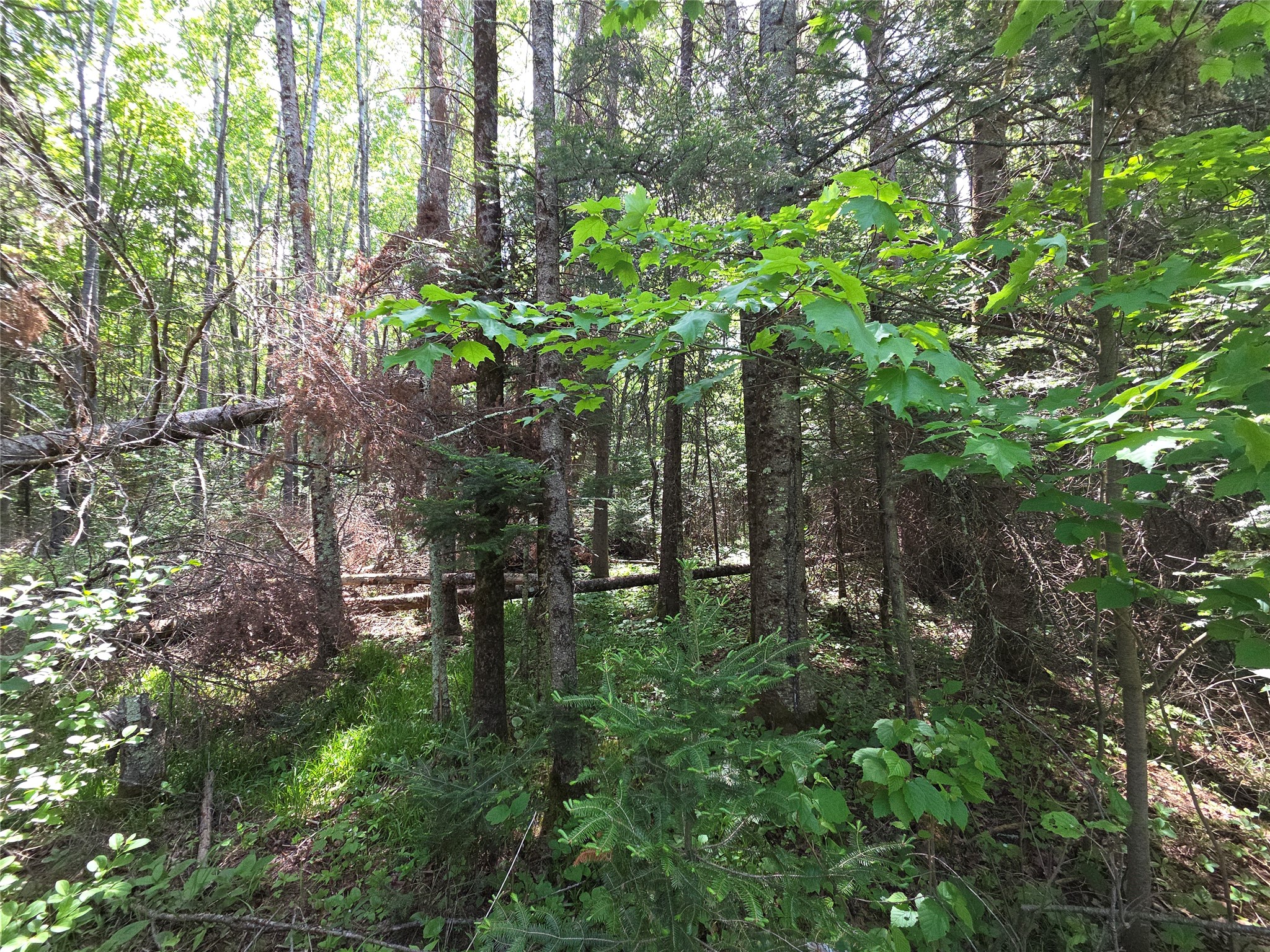 Lot 4 E Solberg Lake Road Phillips WI 54555 1601645 image1