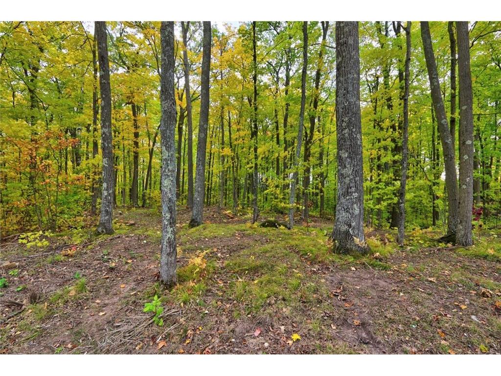 Lot 4 Felser Drive Hayward WI 54843 1568968 image1