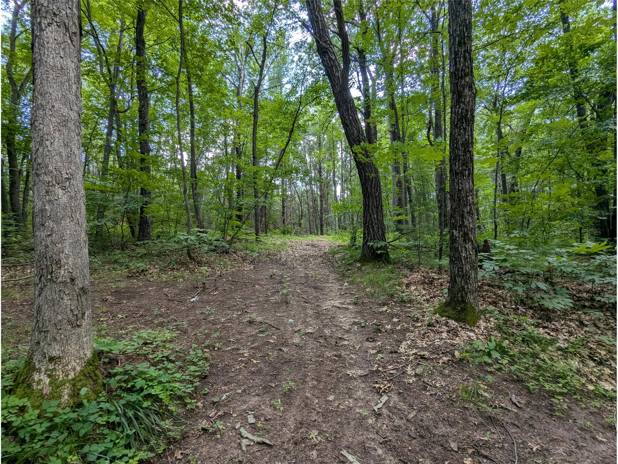 Lot 4 Fosmo Webster WI 54893 - Big Sand Lake 1599372 image2