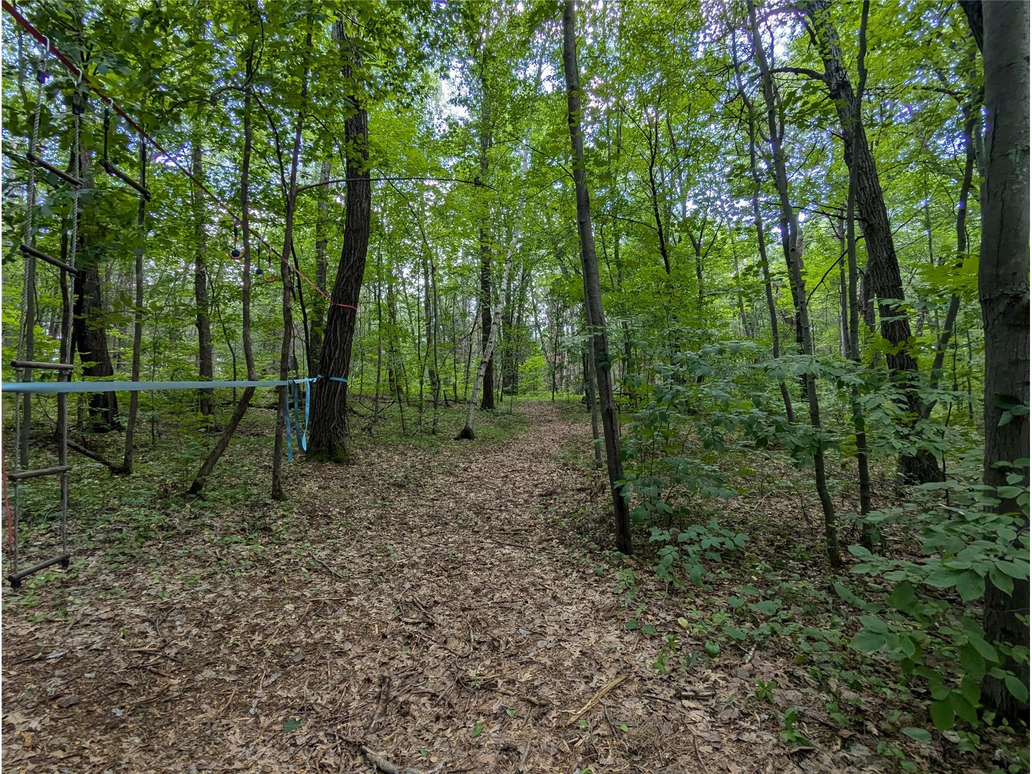 Lot 4 Fosmo Webster WI 54893 - Big Sand Lake 1599372 image4