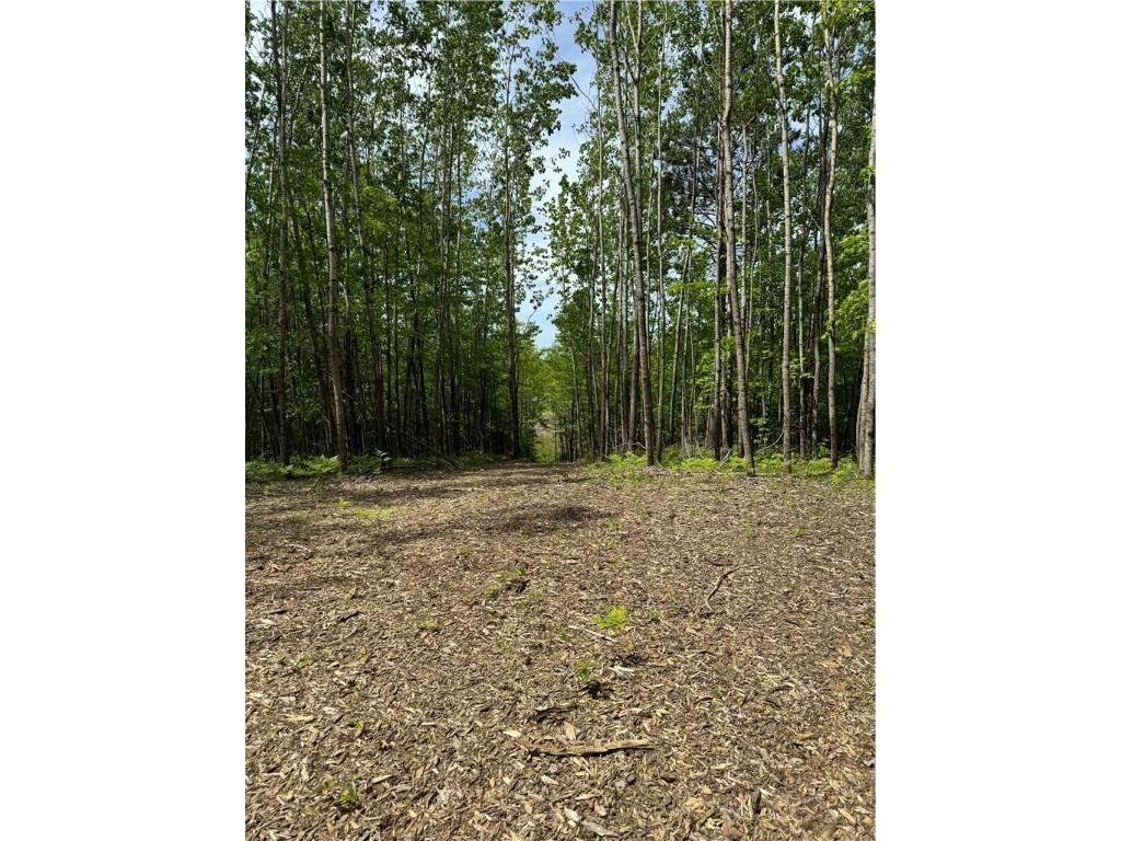 Lot 4 Fox Ridge Pass Danbury WI 54830 1596682 image14