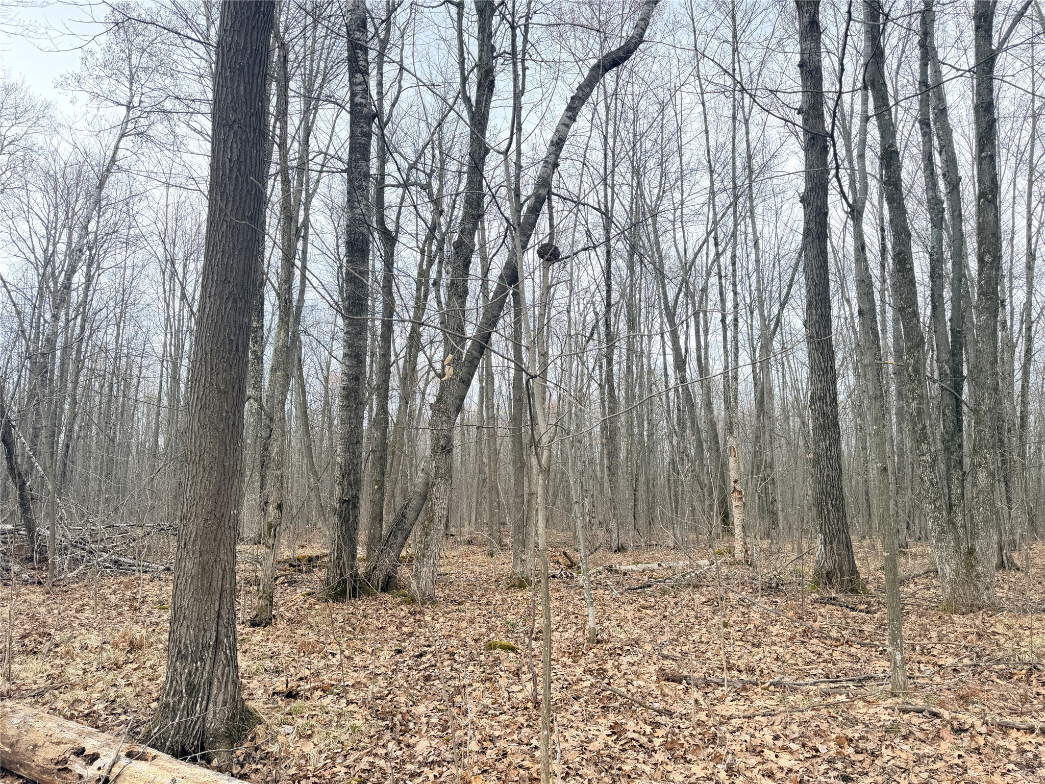 Lot 4 Hwy X Glen Flora WI 54526 1602025 image11