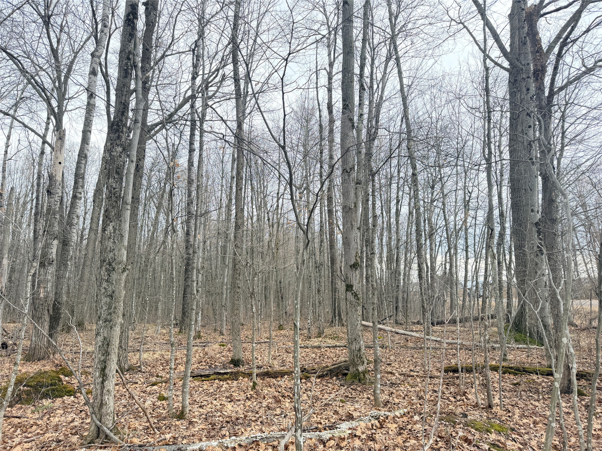 Lot 4 Hwy X Glen Flora WI 54526 1602025 image13