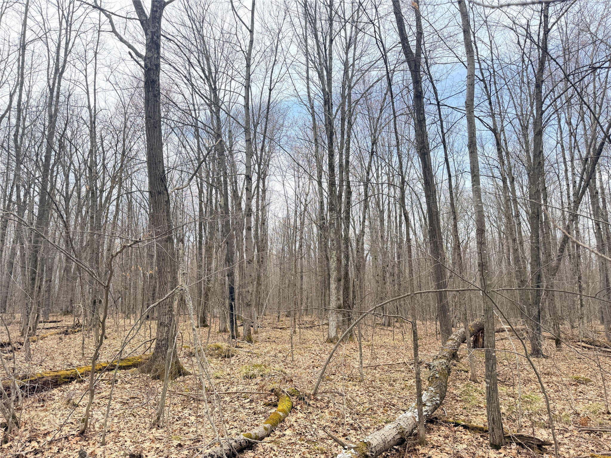 Lot 4 Hwy X Glen Flora WI 54526 1602025 image15