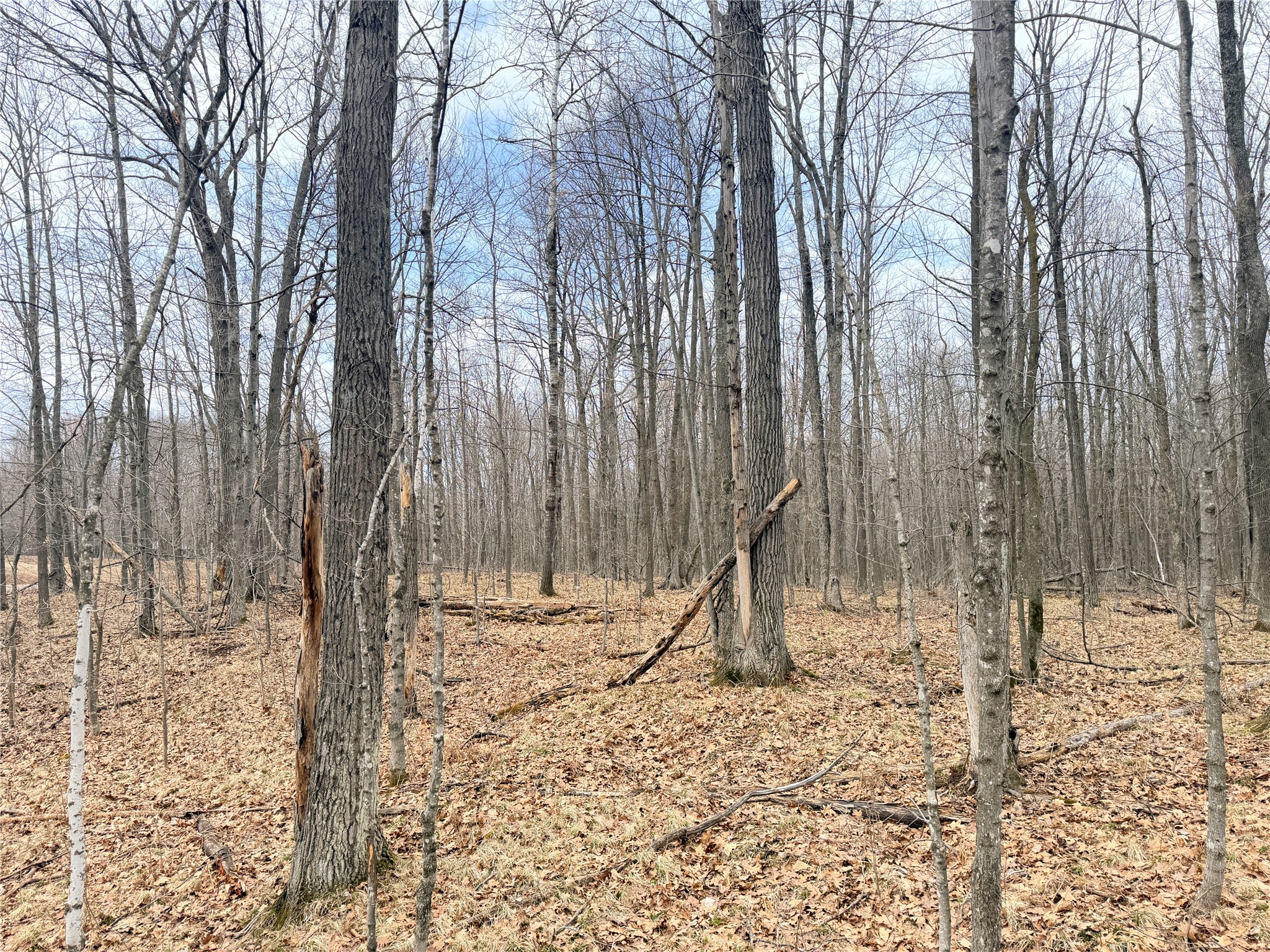 Lot 4 Hwy X Glen Flora WI 54526 1602025 image17