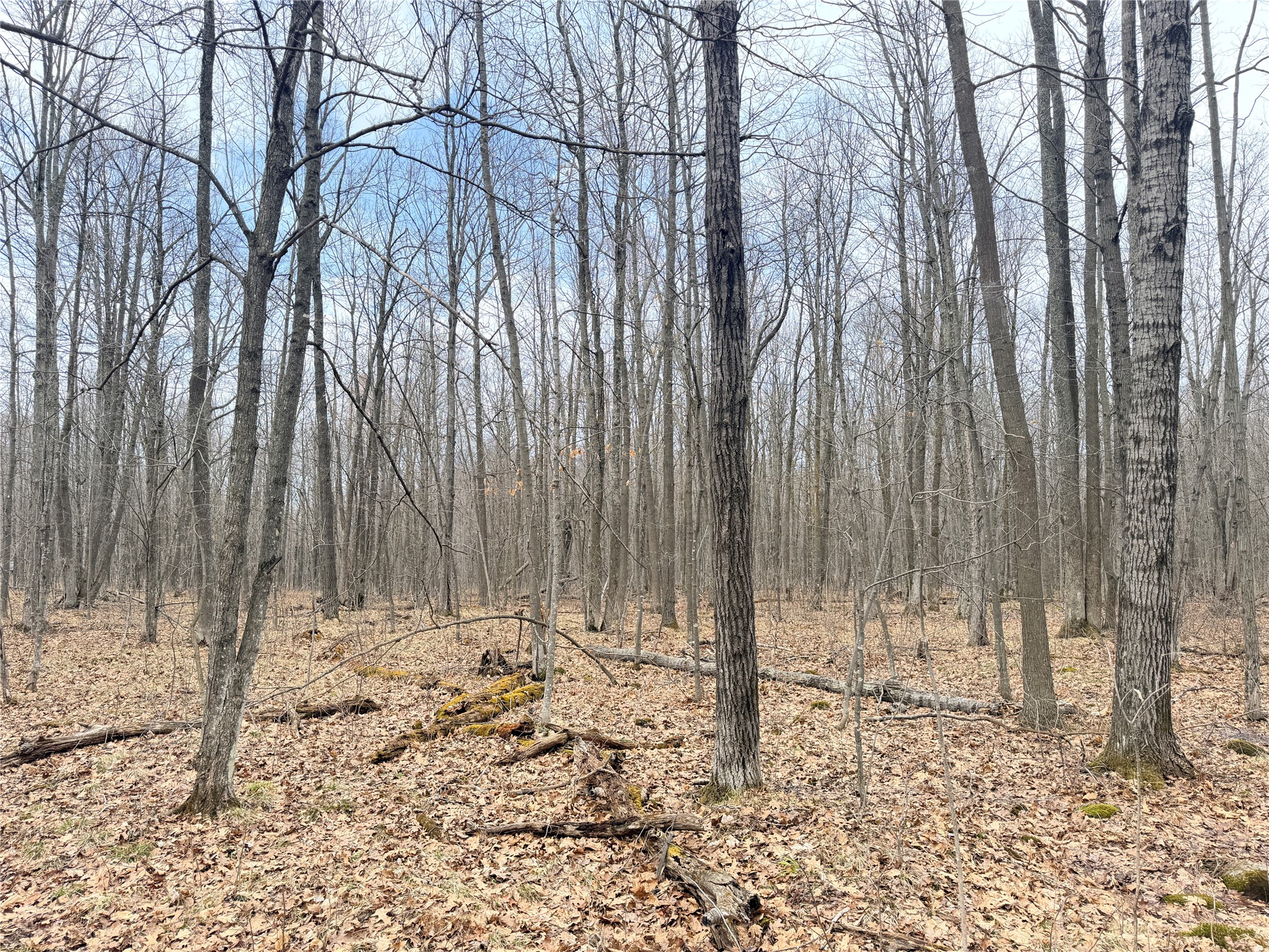 Lot 4 Hwy X Glen Flora WI 54526 1602025 image19