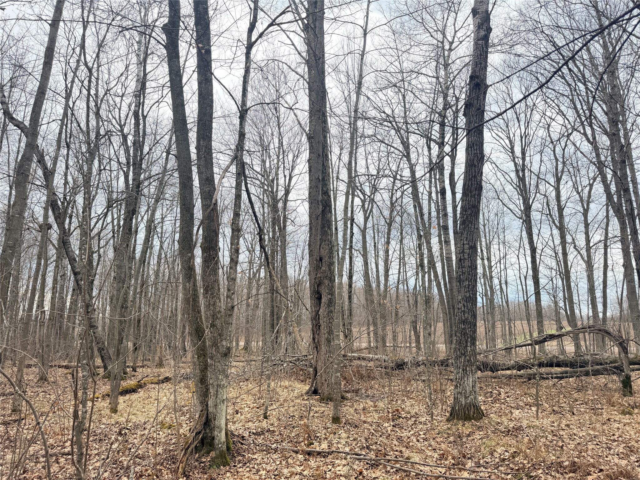 Lot 4 Hwy X Glen Flora WI 54526 1602025 image20