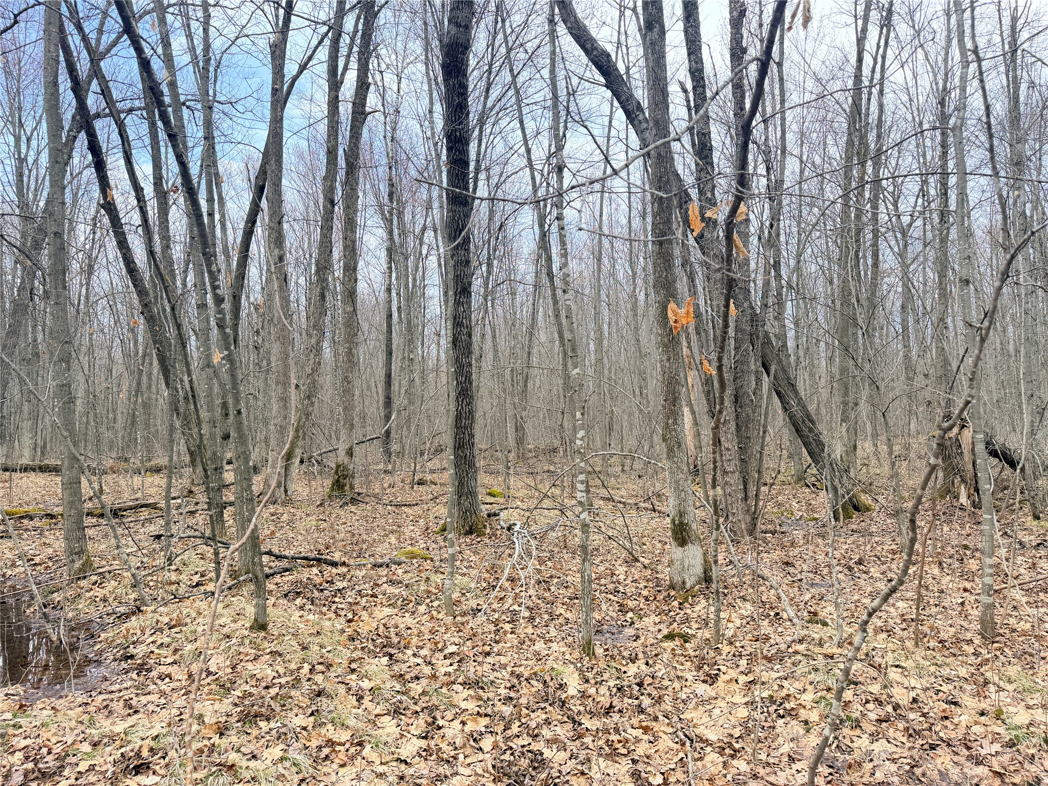 Lot 4 Hwy X Glen Flora WI 54526 1602025 image22