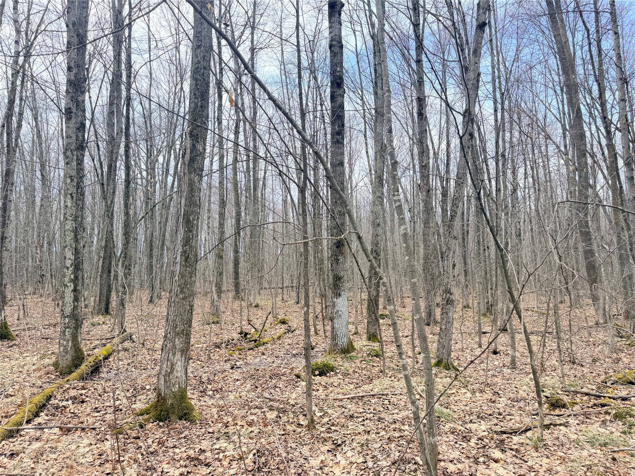 Lot 4 Hwy X Glen Flora WI 54526 1602025 image25