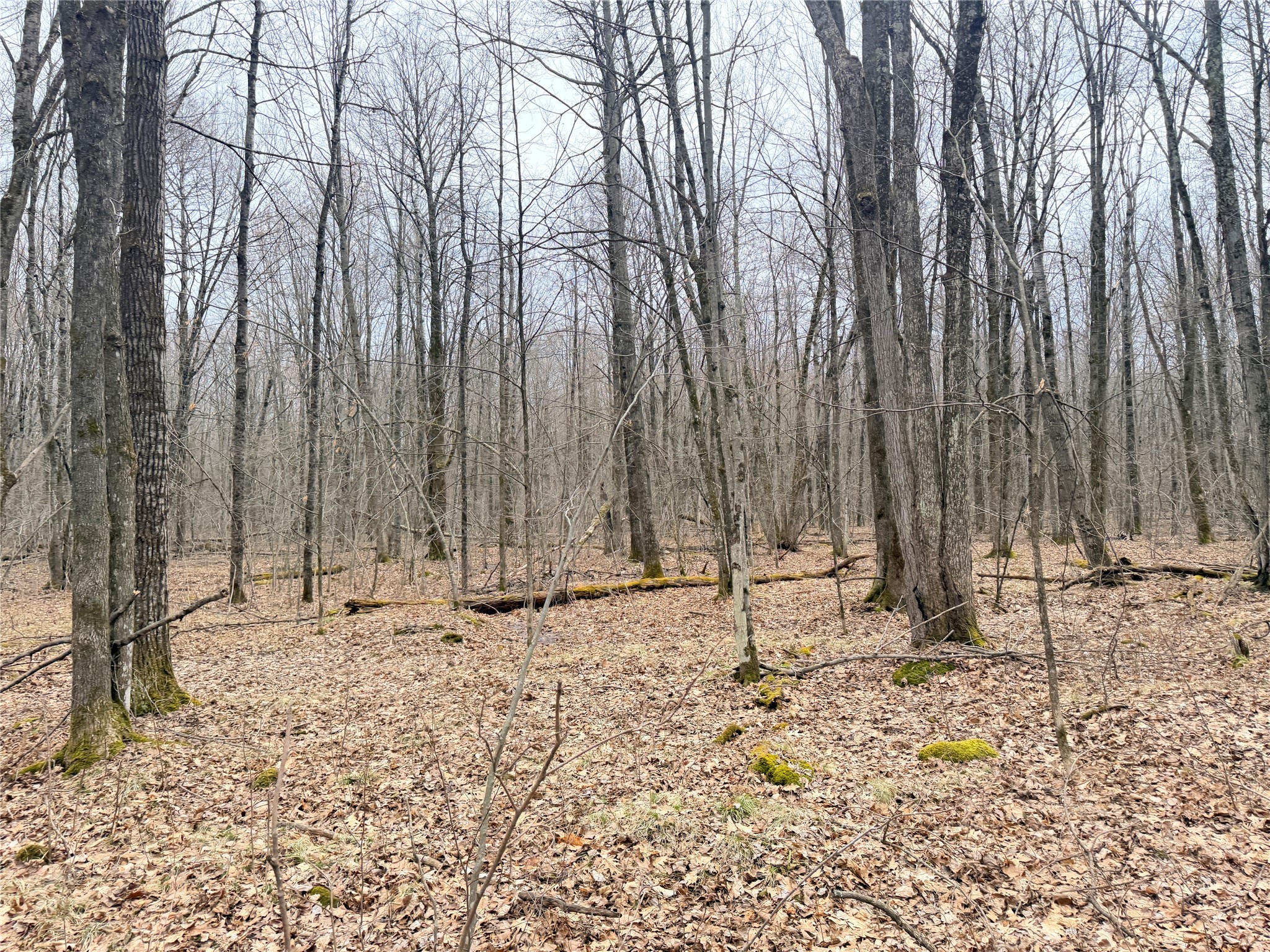 Lot 4 Hwy X Glen Flora WI 54526 1602025 image3