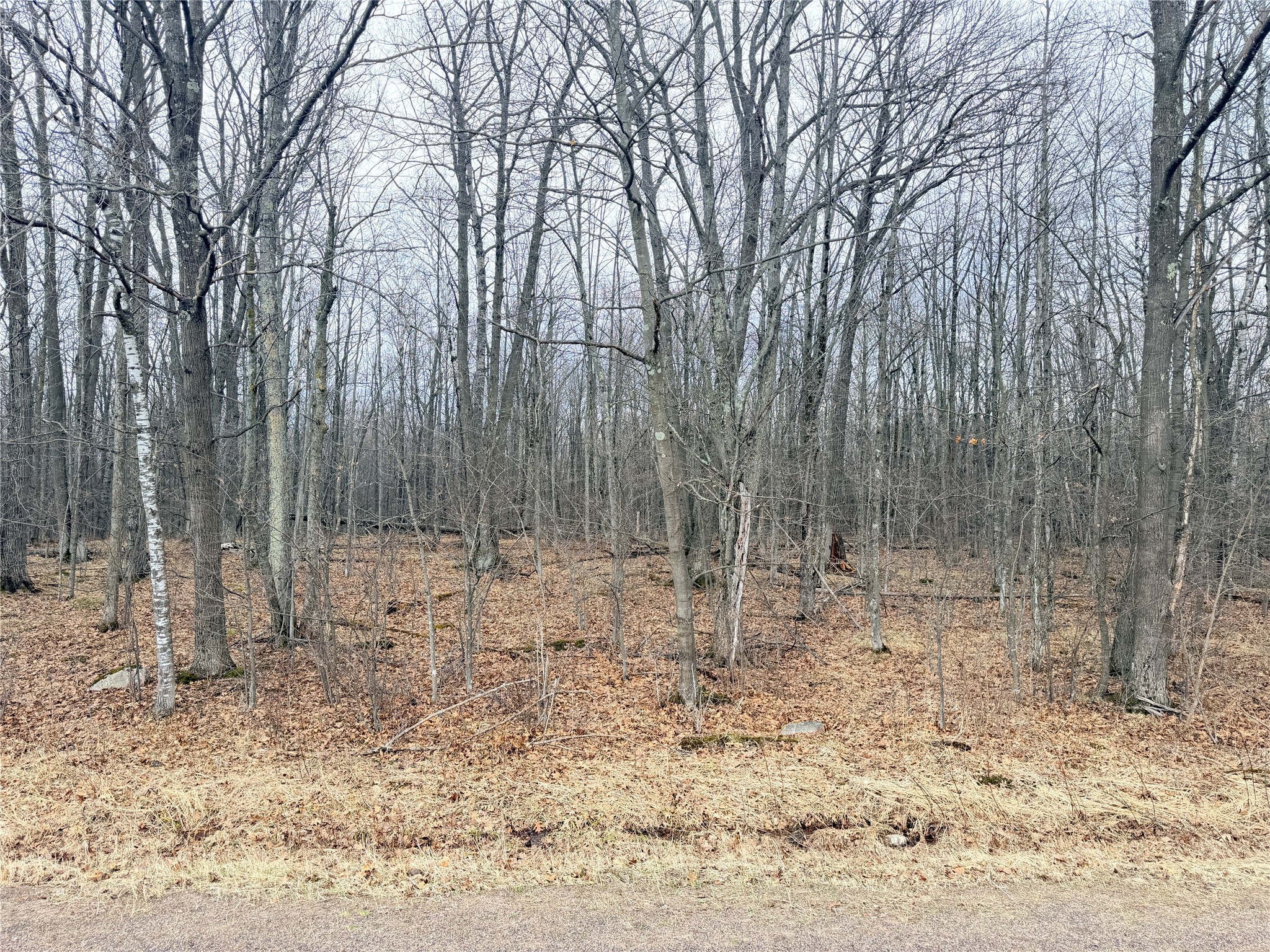 Lot 4 Hwy X Glen Flora WI 54526 1602025 image8