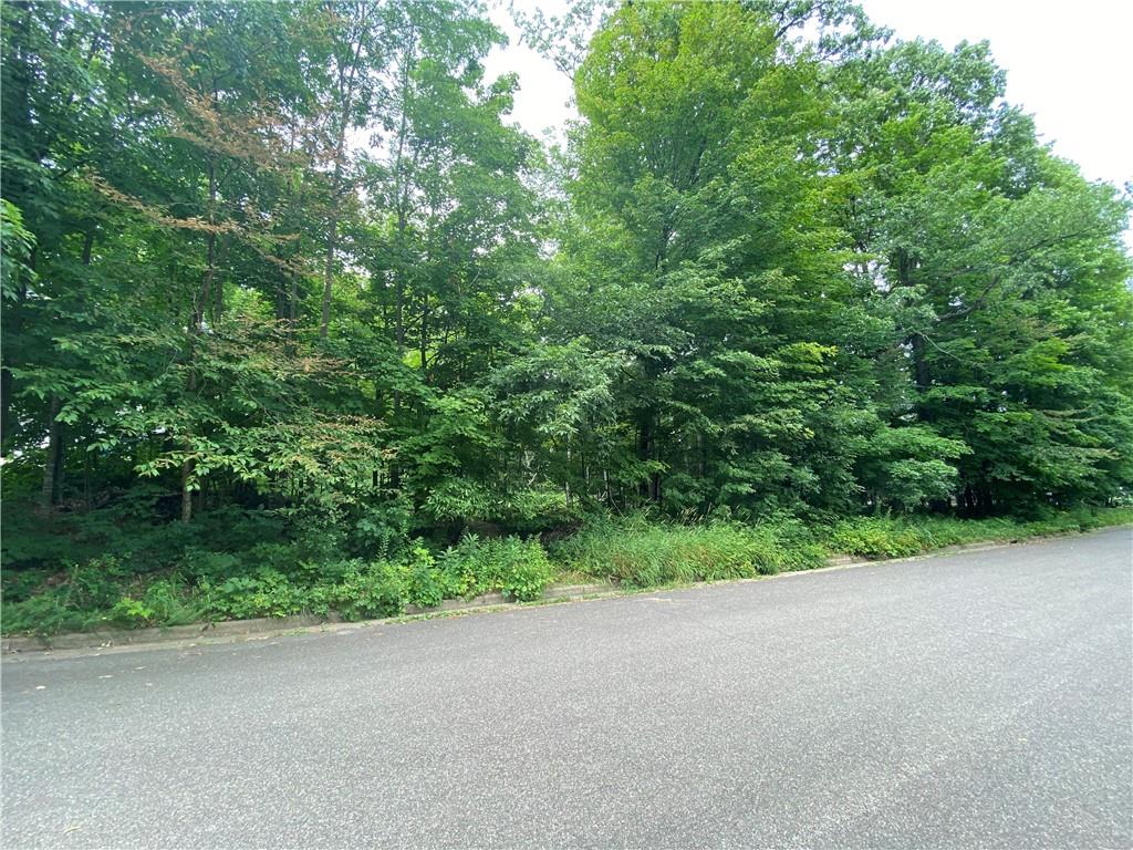 Lot 4 Ironwood Street Barron WI 54812 1576467 image1