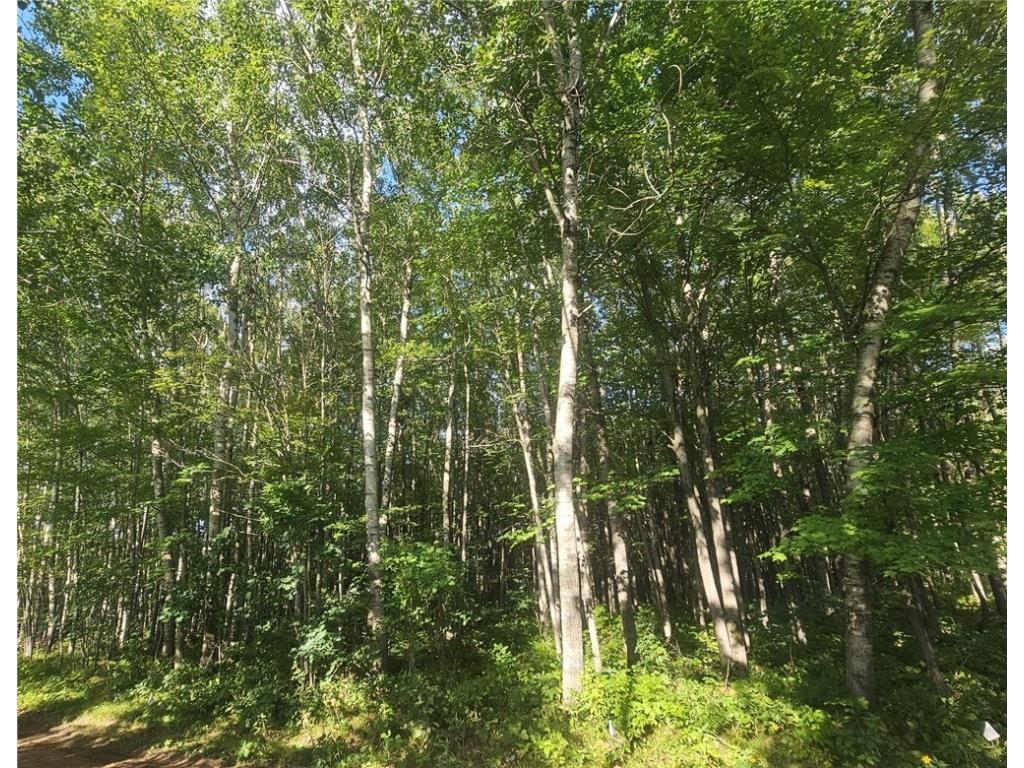 Lot 4 Ken Can Lane Webster WI 54893 1595049 image4