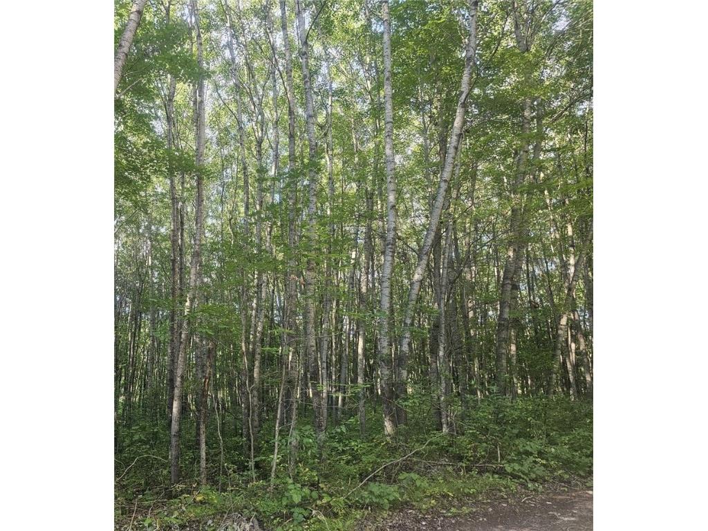 Lot 4 Ken Can Lane Webster WI 54893 1595049 image5