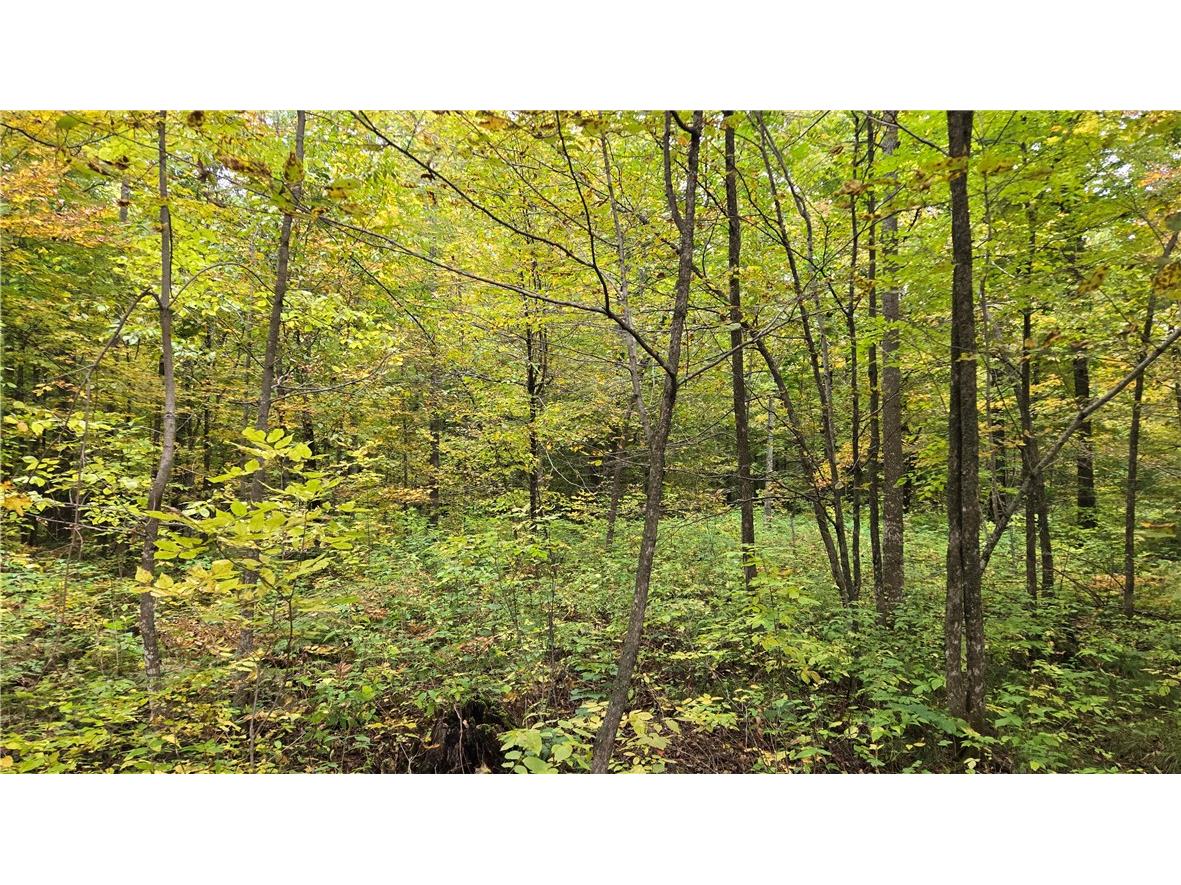 Lot 4 Lakeview Ln. Exeland WI 54835 1596554 image14