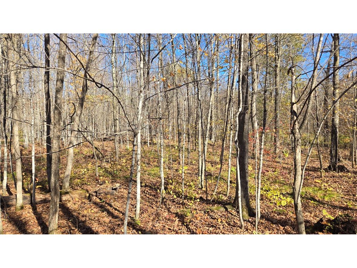 Lot 4 Lakeview Ln. Exeland WI 54835 1596554 image4
