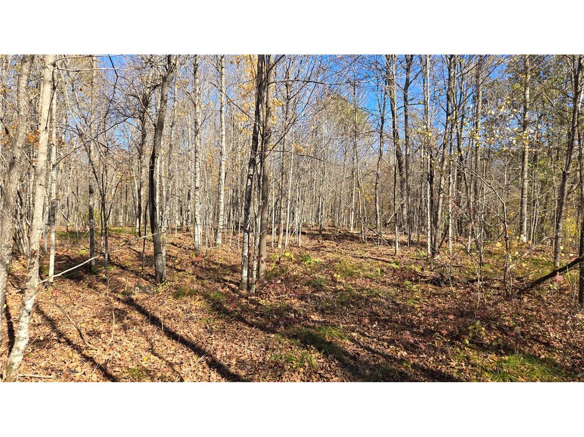 Lot 4 Lakeview Ln. Exeland WI 54835 1596554 image5