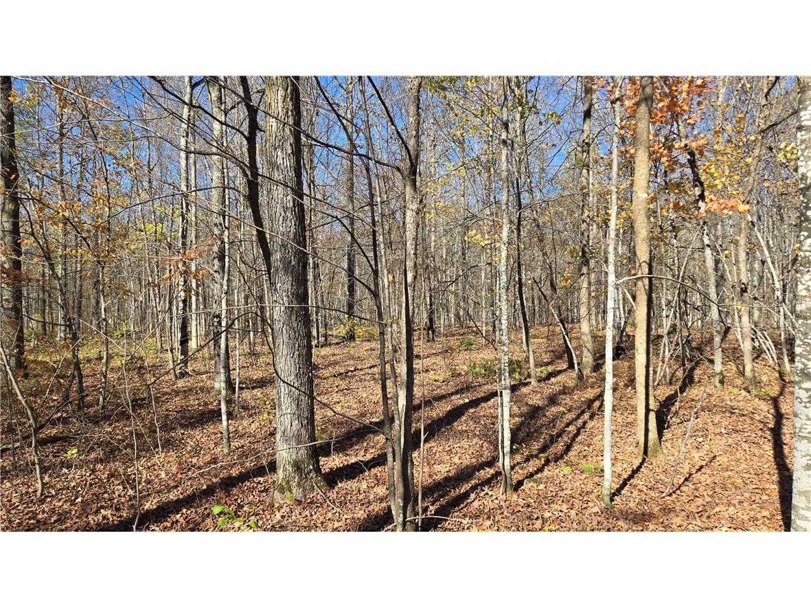 Lot 4 Lakeview Ln. Exeland WI 54835 1596554 image6