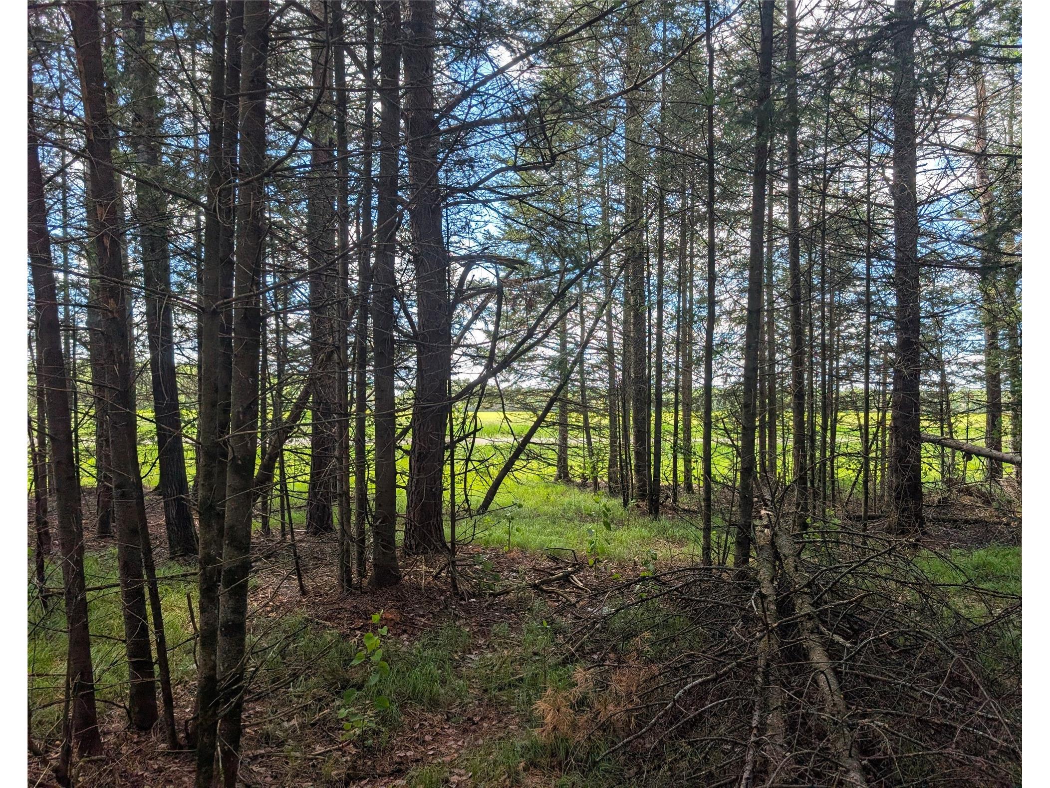 Lot 4 Main Road Springbrook WI 54875 1602445 image10
