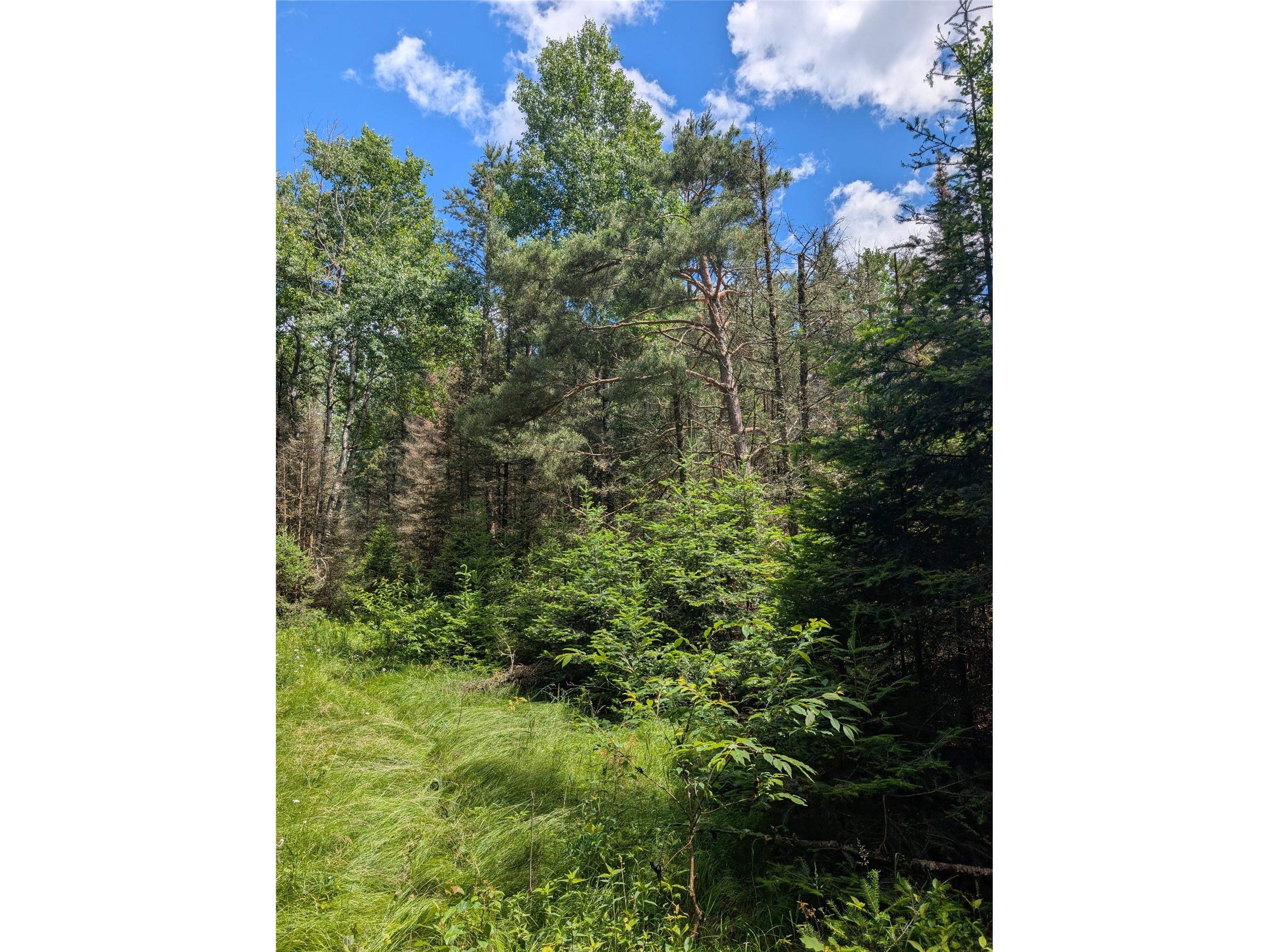 Lot 4 Main Road Springbrook WI 54875 1602445 image11