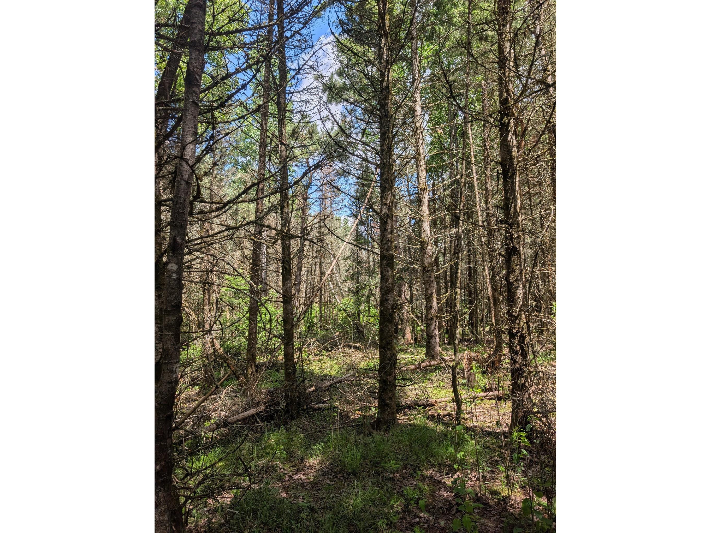 Lot 4 Main Road Springbrook WI 54875 1602445 image16