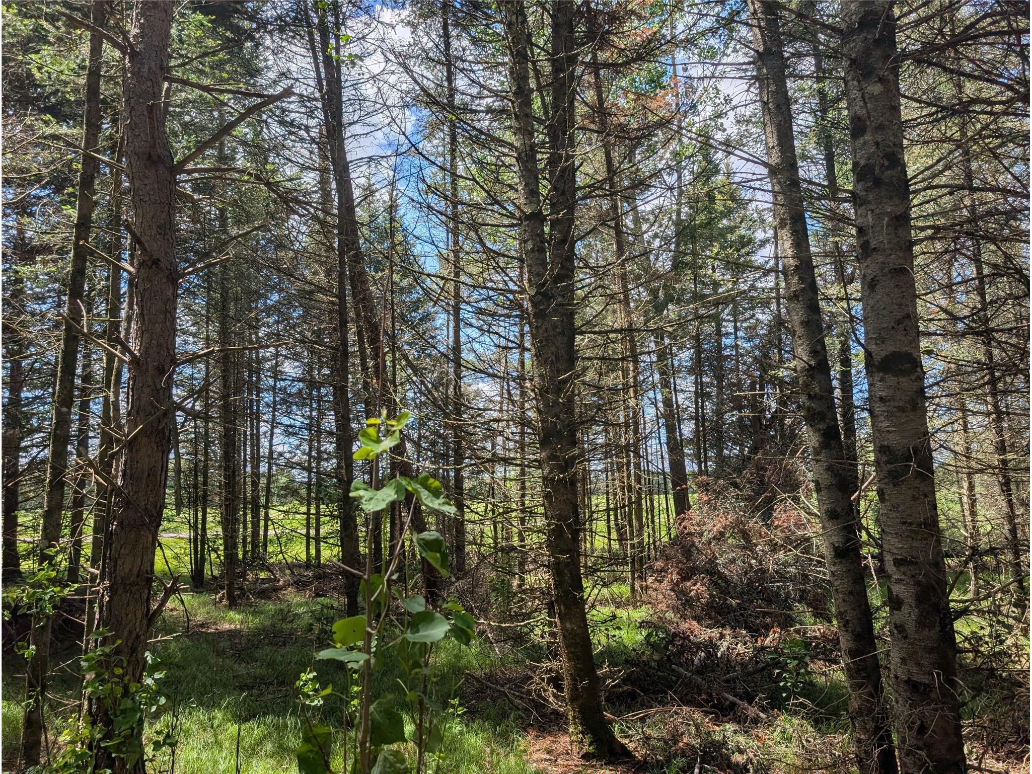 Lot 4 Main Road Springbrook WI 54875 1602445 image19