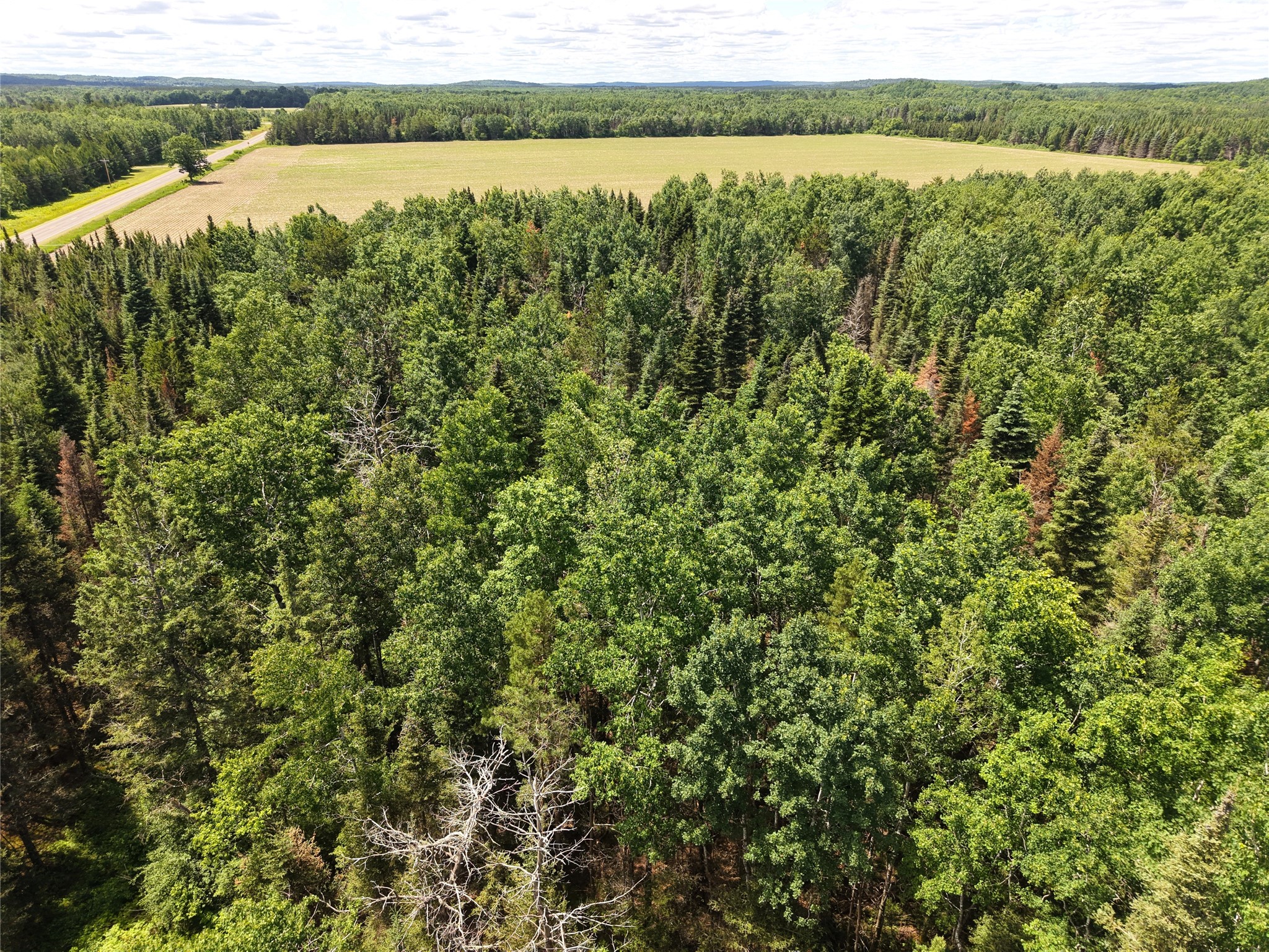 Lot 4 Main Road Springbrook WI 54875 1602445 image6