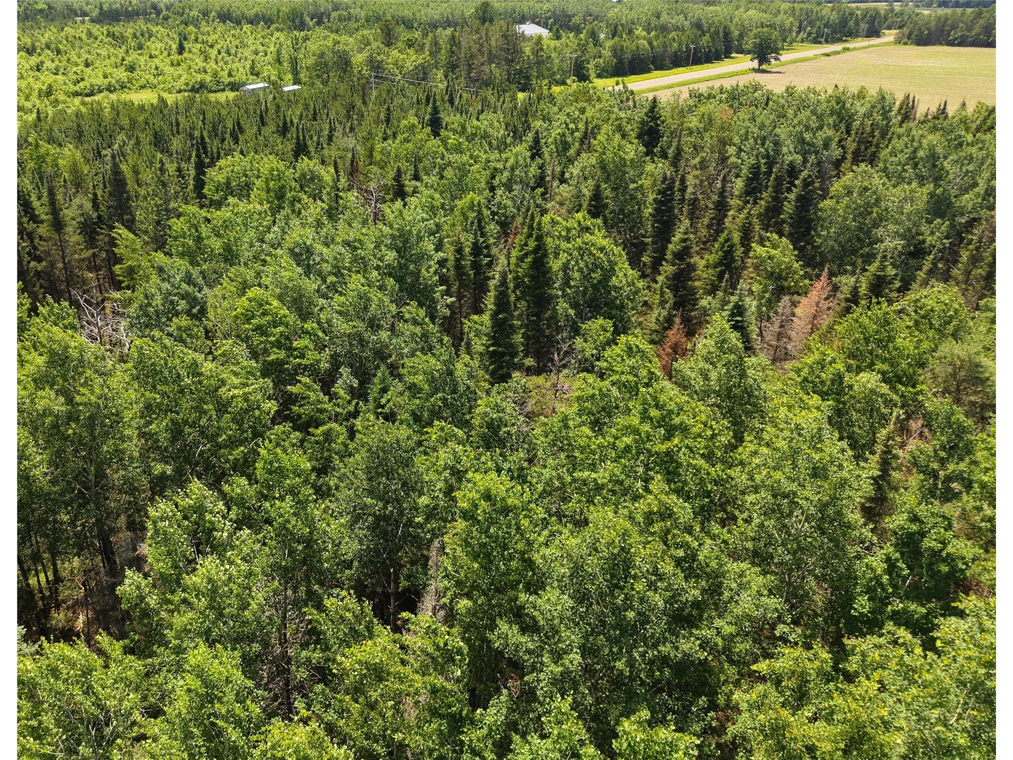 Lot 4 Main Road Springbrook WI 54875 1602445 image7