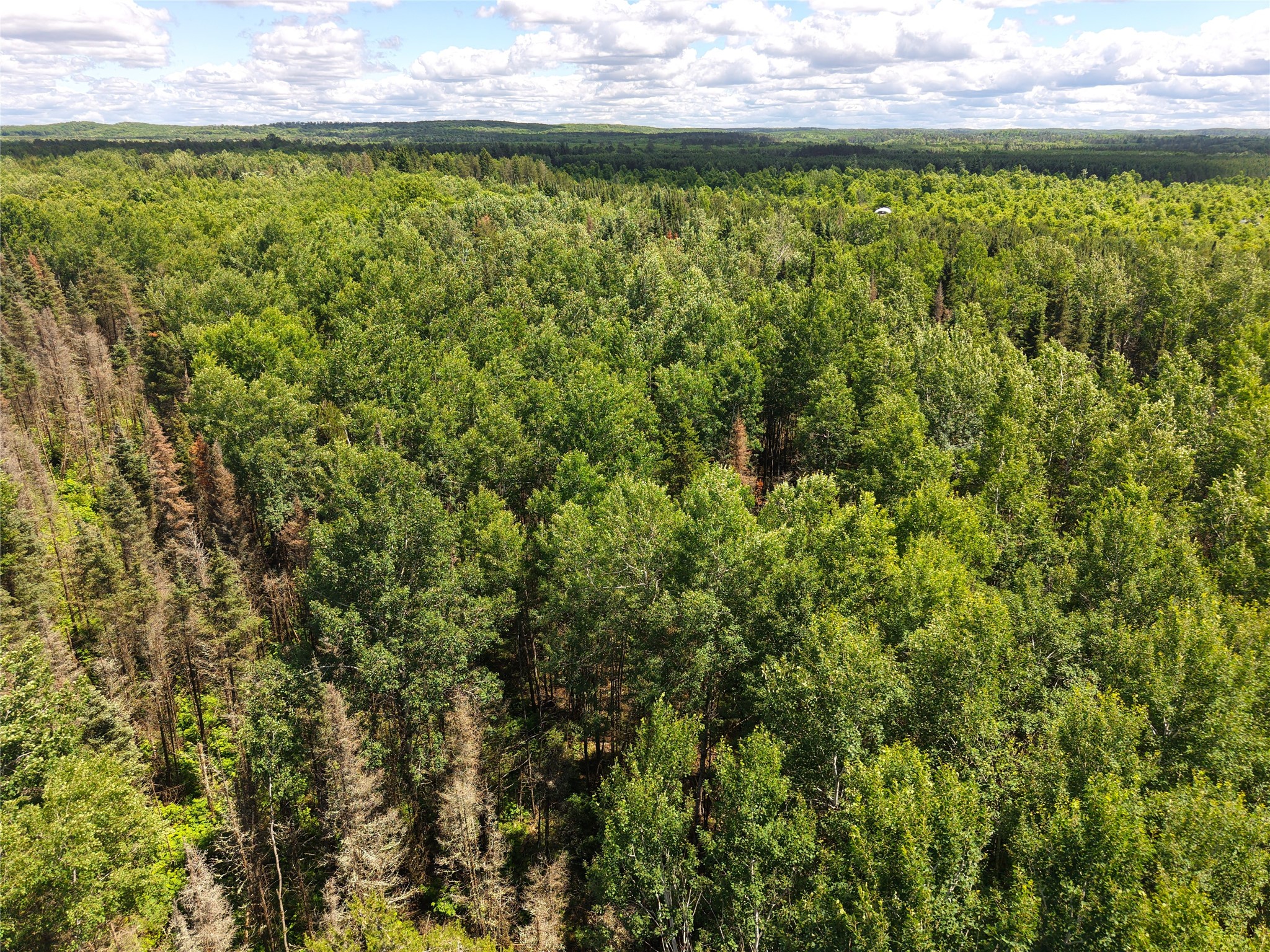 Lot 4 Main Road Springbrook WI 54875 1602445 image8