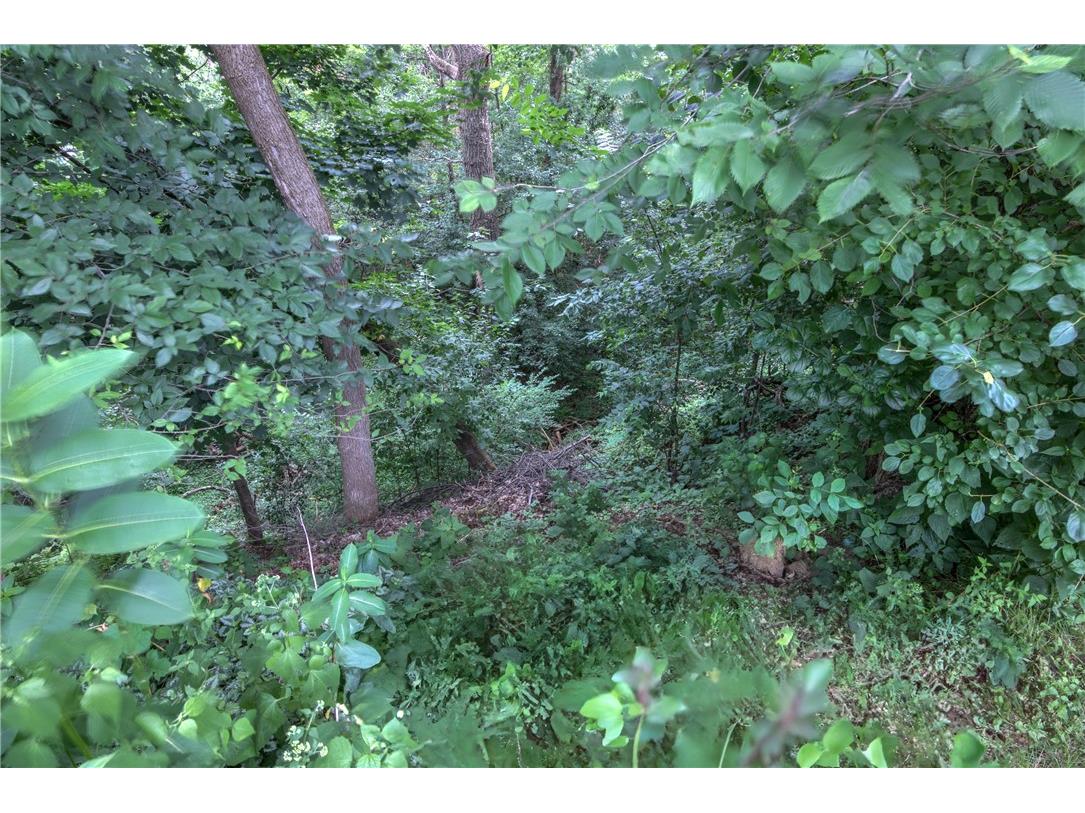 Lot 4 North Street Chippewa Falls WI 54729 1593798 image1