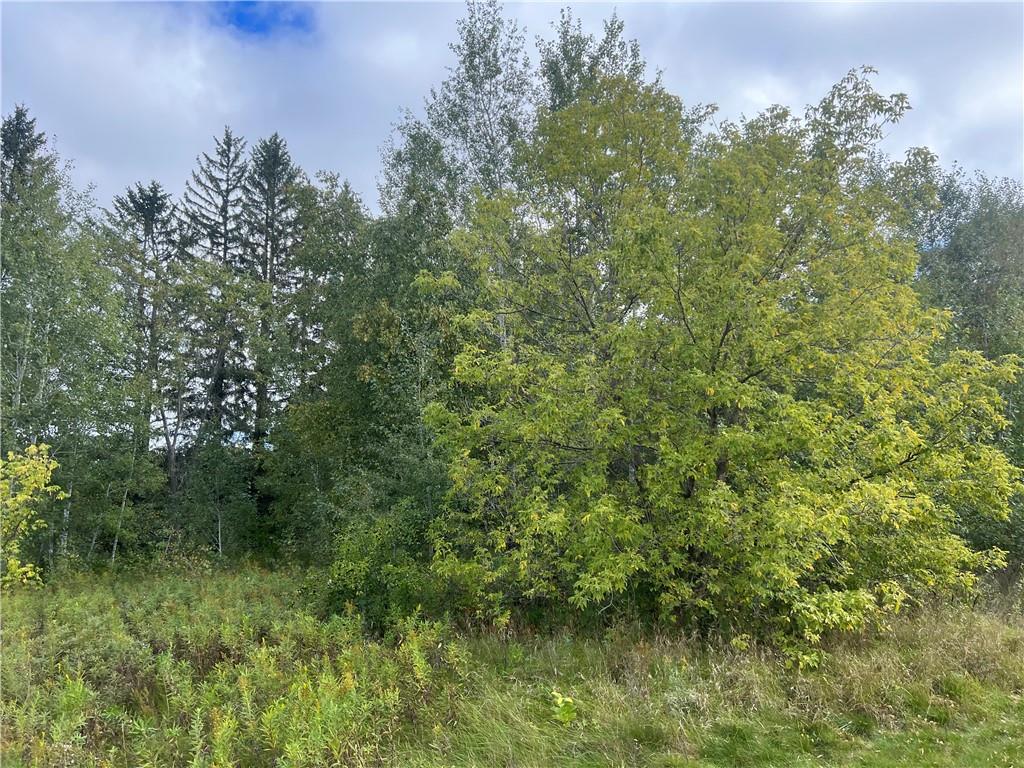 Lot 4 Northland Dr Spooner WI 54801 1572860 image1
