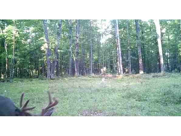 Lot 4 Off Highway 77 Hayward WI 54843 1588633 image2