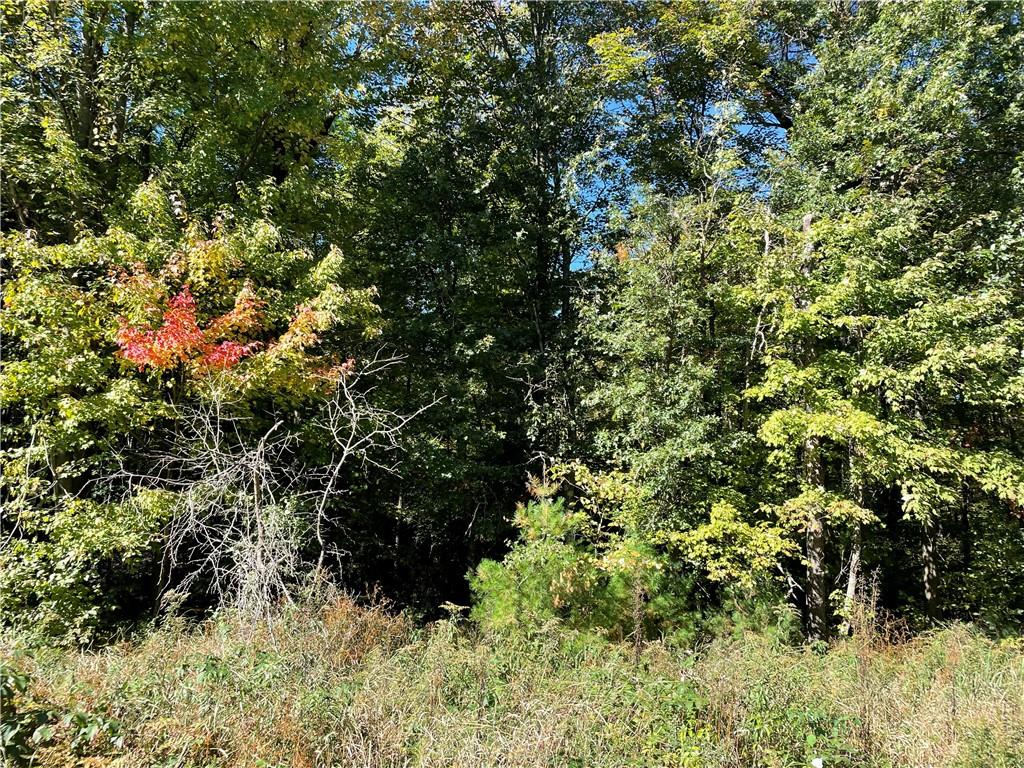Lot 4 Olson Drive Fall Creek WI 54742 1569086 image1
