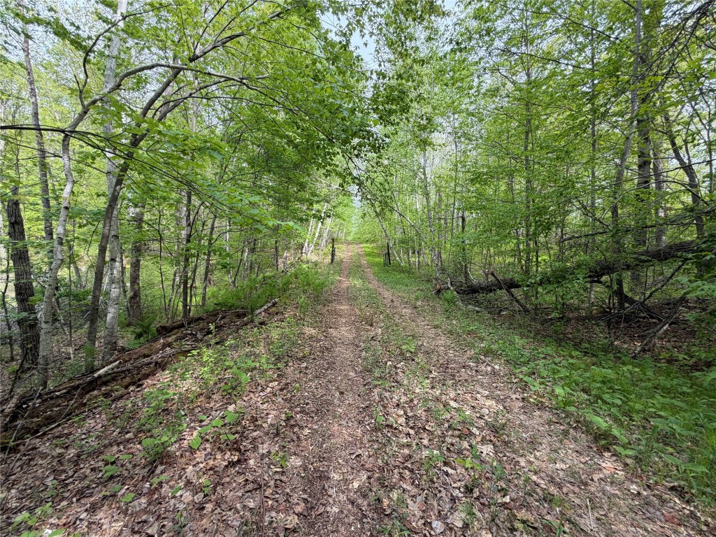 Lot 4 Peterson Road Wascott WI 54859 1601140 image10