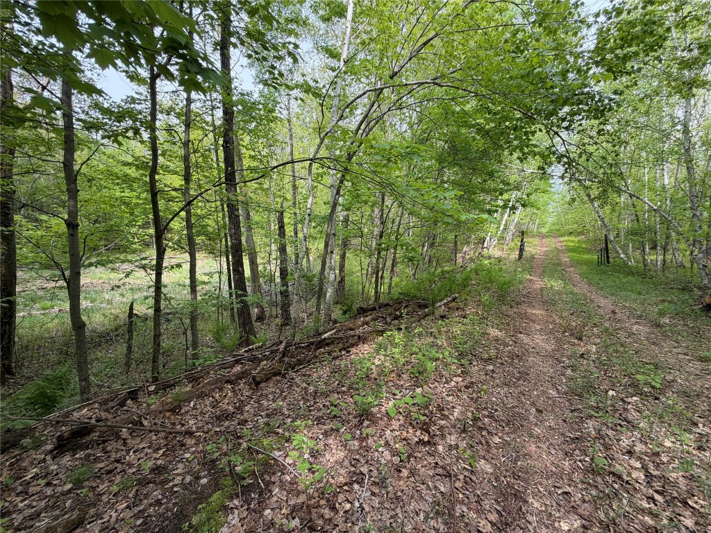 Lot 4 Peterson Road Wascott WI 54859 1601140 image11