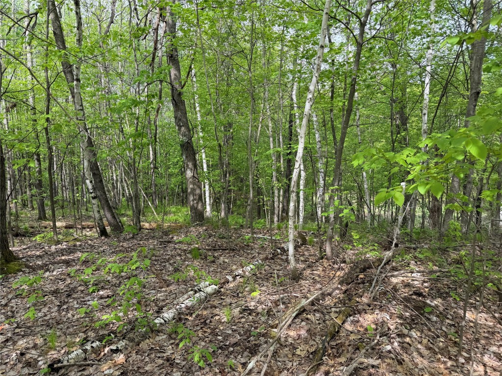 Lot 4 Peterson Road Wascott WI 54859 1601140 image2