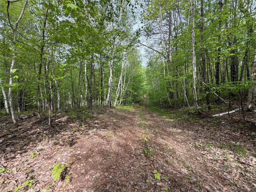 Lot 4 Peterson Road Wascott WI 54859 1601140 image3