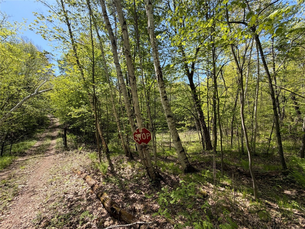 Lot 4 Peterson Road Wascott WI 54859 1601140 image4
