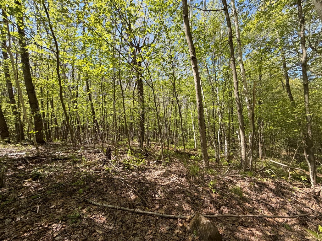 Lot 4 Peterson Road Wascott WI 54859 1601140 image6
