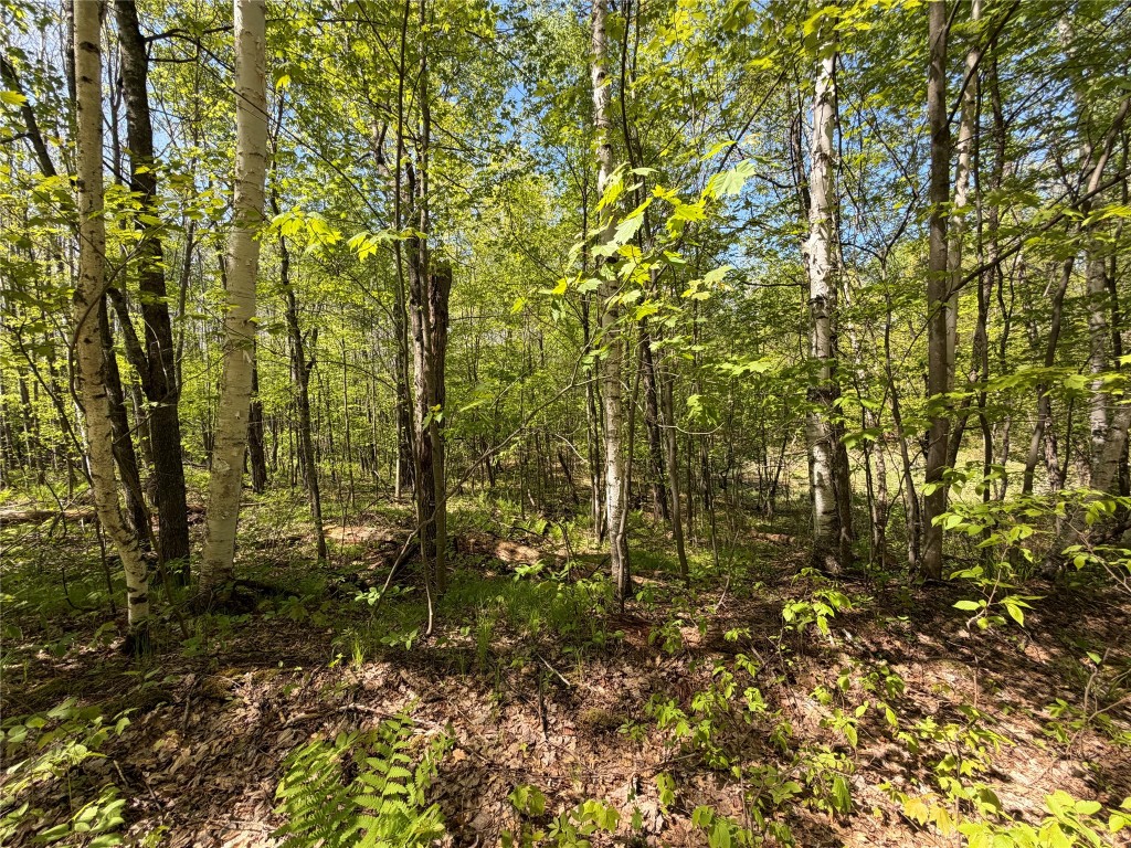 Lot 4 Peterson Road Wascott WI 54859 1601140 image7