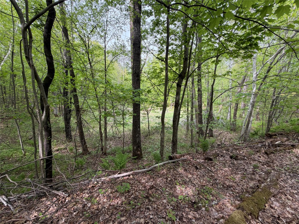 Lot 4 Peterson Road Wascott WI 54859 1601140 image8