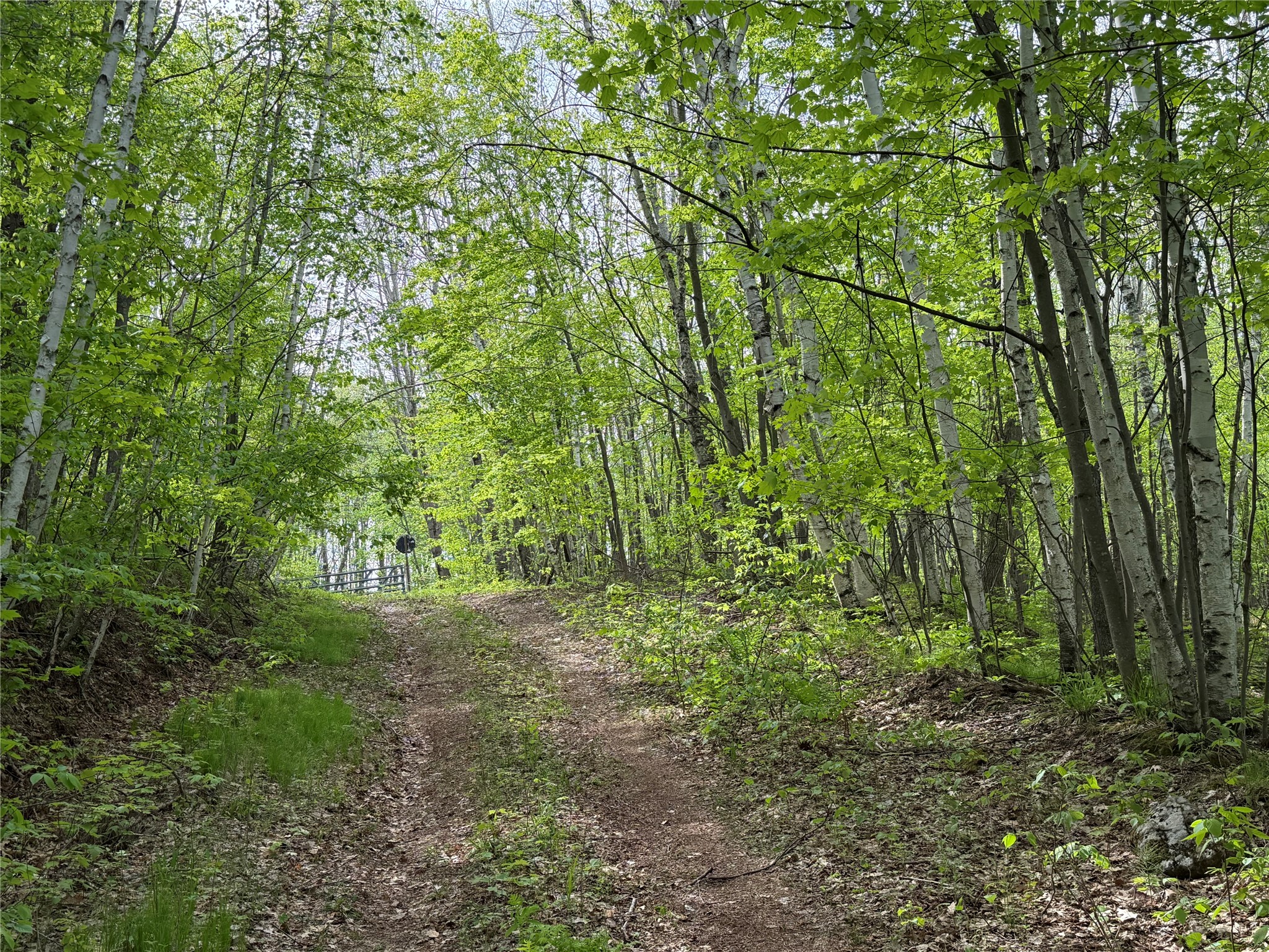 Lot 4 Peterson Road Wascott WI 54859 1601140 image9