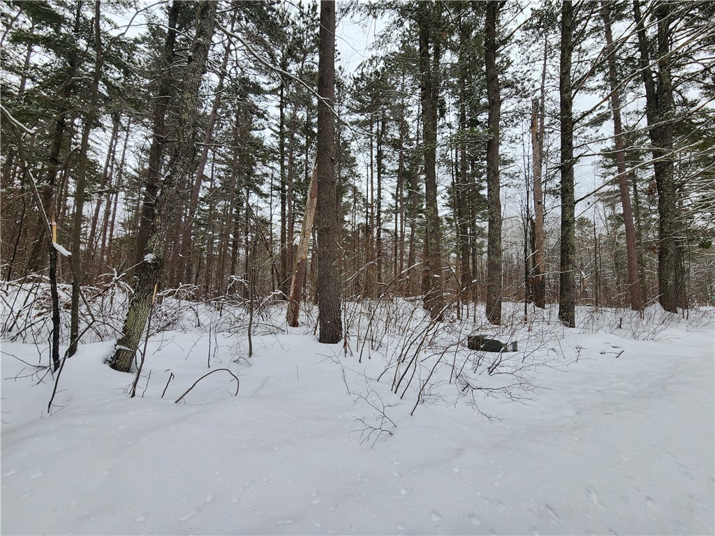 Lot 4 Snowy Ridge Lane Hayward WI 54843 1571721 image1