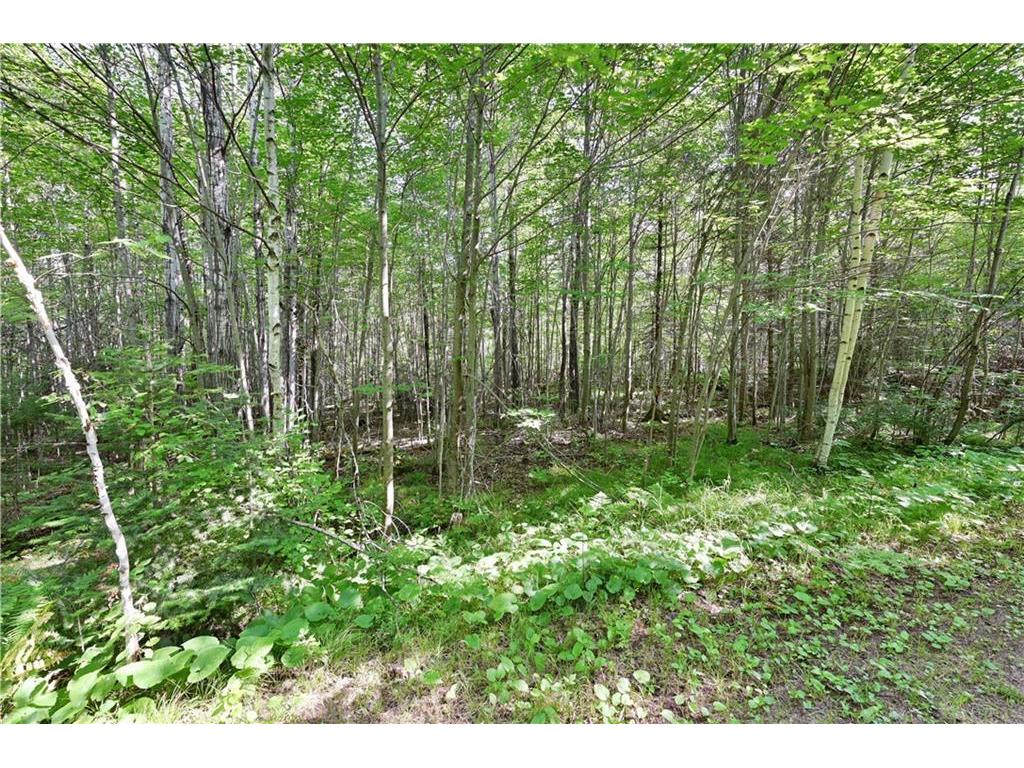 Lot 4 Warner Drive Hayward WI 54843 1584267 image1