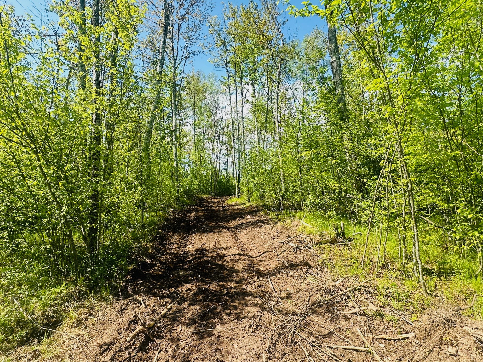 Lot 40 Horse Creek Trail Ojibwa WI 54862 1601677 image4