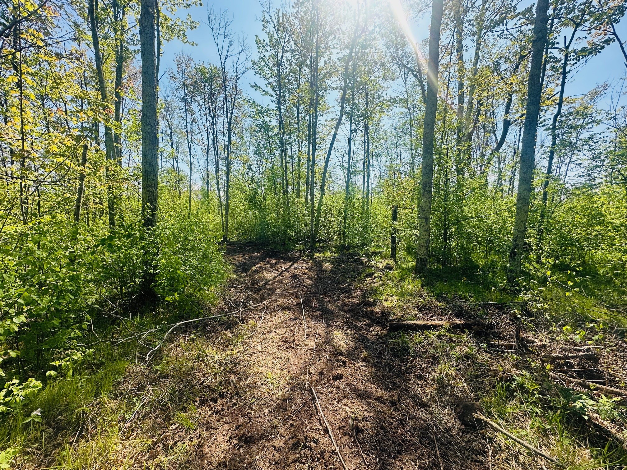 Lot 40 Horse Creek Trail Ojibwa WI 54862 1601677 image5