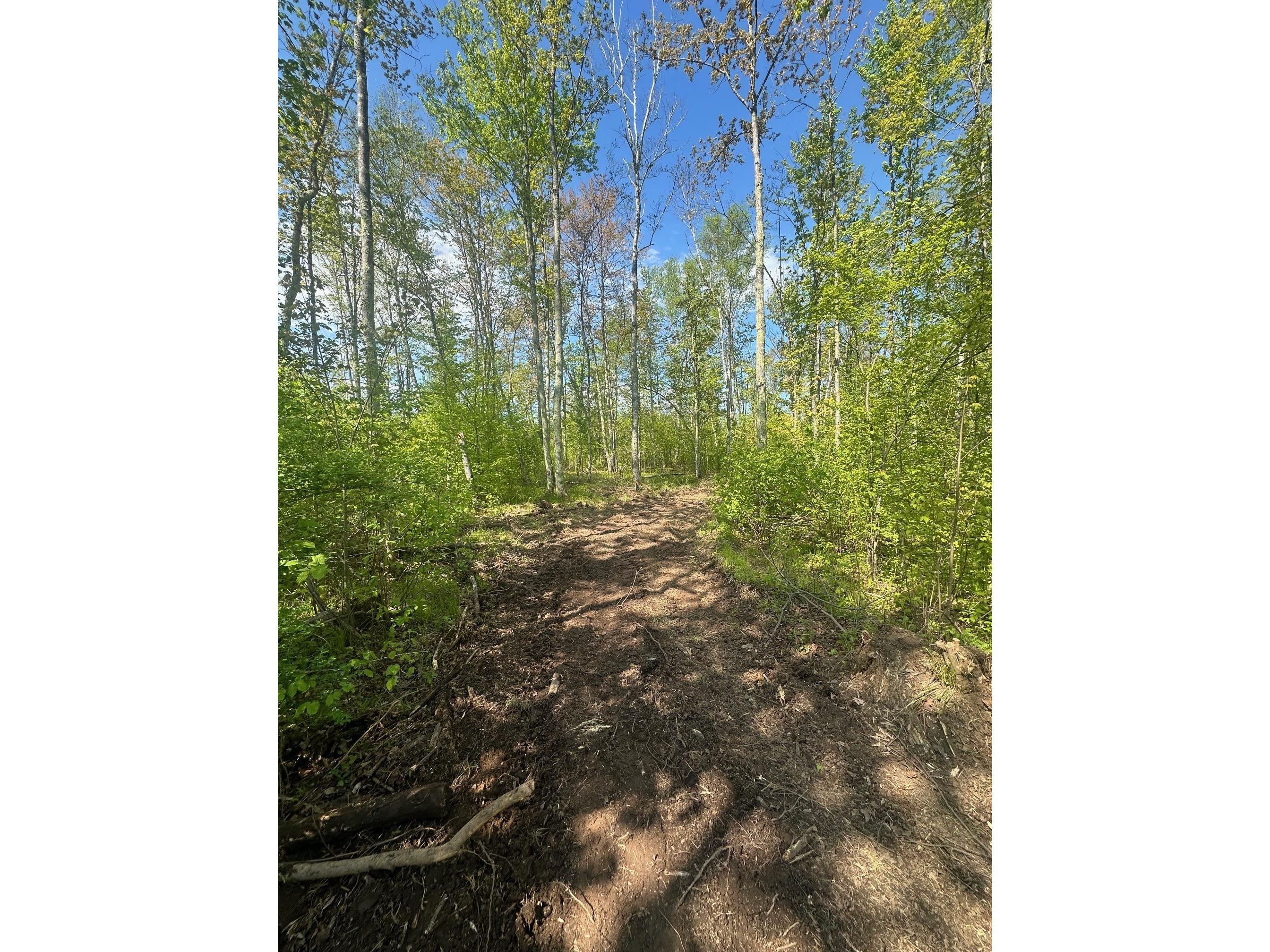 Lot 40 Horse Creek Trail Ojibwa WI 54862 1601677 image6
