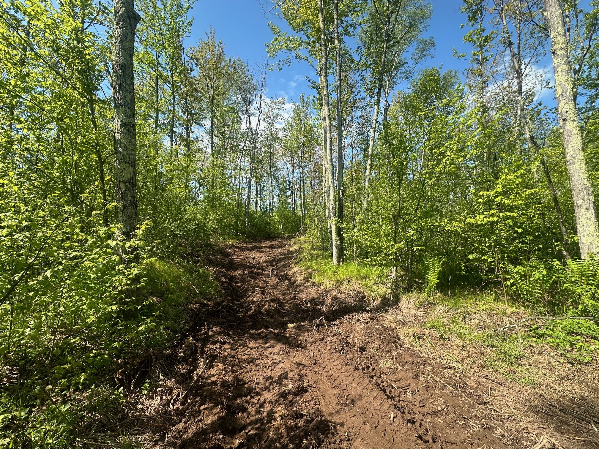Lot 40 Horse Creek Trail Ojibwa WI 54862 1601677 image7