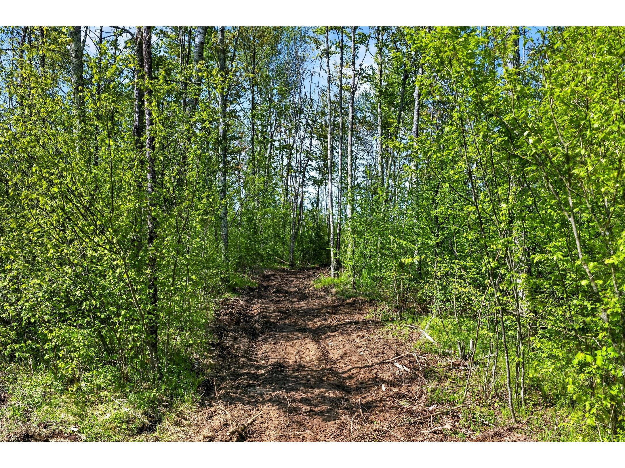 Lot 41 Horse Creek Trail Ojibwa WI 54862 1601676 image3