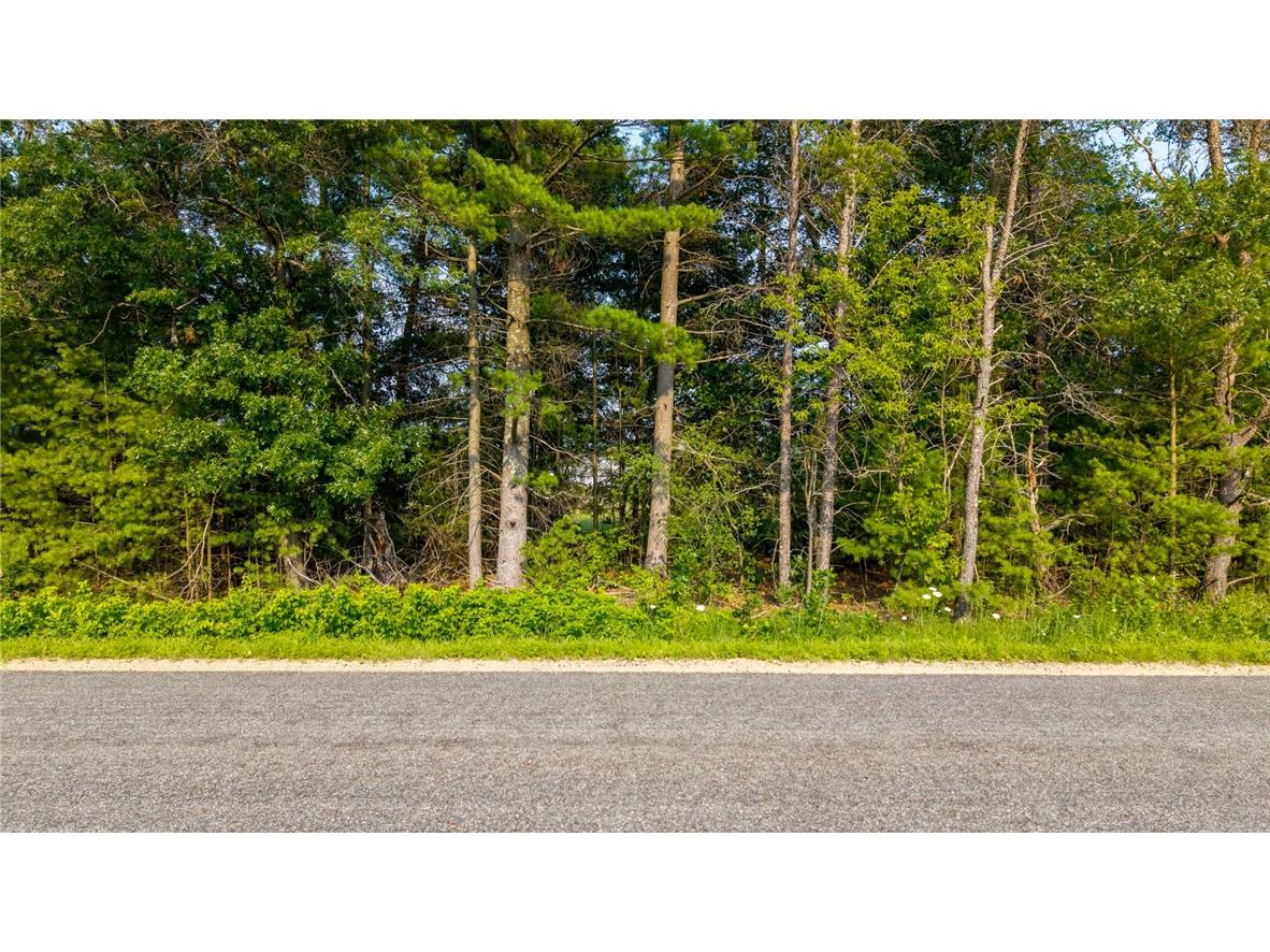 Lot 41 Lowes Creek Road Eleva WI 54738 1594010 image1